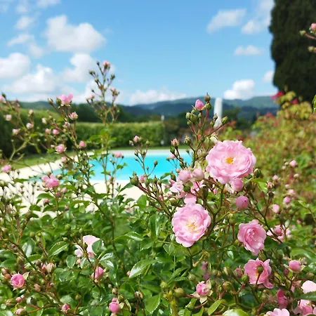 Tenuta San Jacopo - Cavriglia